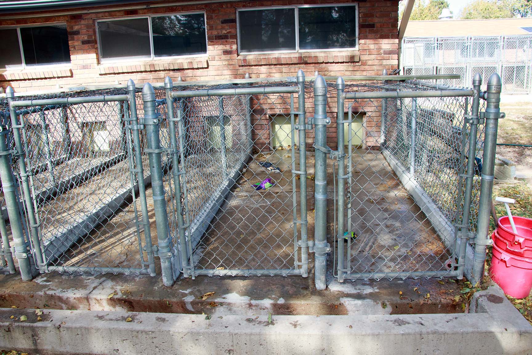 Small dog boarding kennels